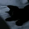 xcxcxcxccccxxc