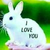 user74824543797408