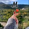 mero.sedhom6