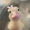 ente1098
