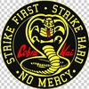 cobra.kai.3412