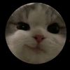 isrell0207