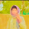 wd.ahmed5