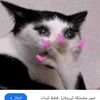 mlket2