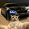 kirill12858575
