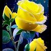 user5032621619852