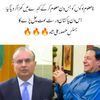 sanamjaved338