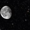 shahen_tm