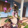 siti.nadhirah48