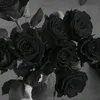 annemarie2535