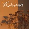 najma.xasan85
