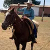 os_boiaderos_do_ms