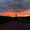 amyxx9653