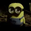 r0bert.118