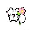 anshu_lim80