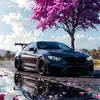 leonel_penkala44