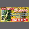 hung.tran3298