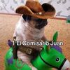 juanflores7480