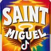 saintmiguelduplicate
