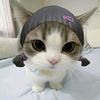 cihuy_cute170