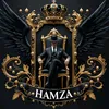 hamza_kayani_788