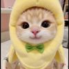 luv_dytaput