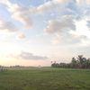 nnyy_9013