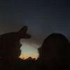 maddytotuff
