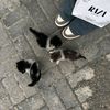 artik_210