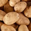 kartoffelanbauer