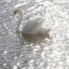 swansshoppingworld