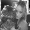 louella_stark