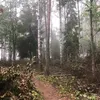 samponvarastettuk