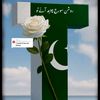 tariqabbasi7508
