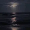 saif9_95