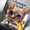 itss_cryy