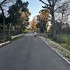 linetjiebytjie12