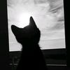 aurell_girl23