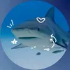 oceanwiper