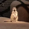 mailen_wa