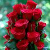 shoaibkhanj14