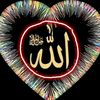 hassan.modu50