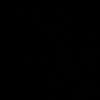 elifsuusilvaa