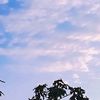 fandi__085