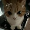luvmeisylffff