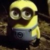 iann_caaa