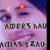 sgfsabid