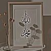 alamul2503