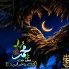 user8197939339312