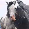 lelemhmd7